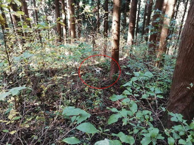 墜落現場1.gif