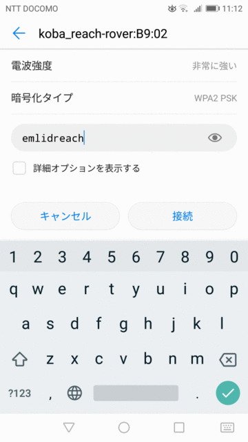 RS+1st04.gif